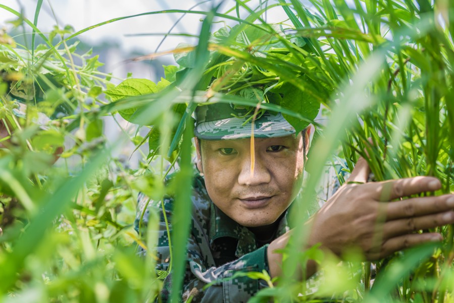 广东连平：战高温  民兵砺兵忙